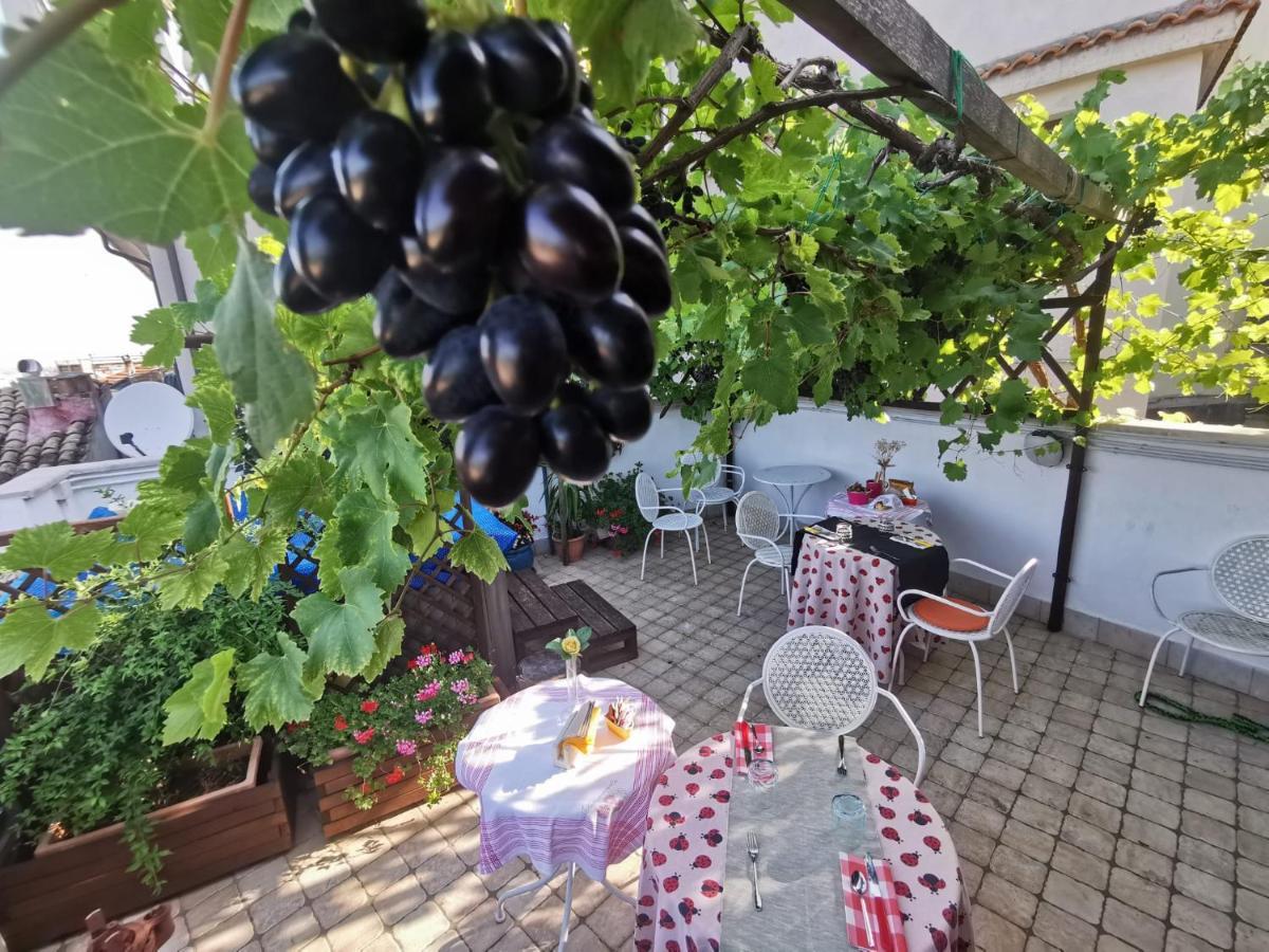 Mary'S Dream Bed & Breakfast Manoppello ภายนอก รูปภาพ
