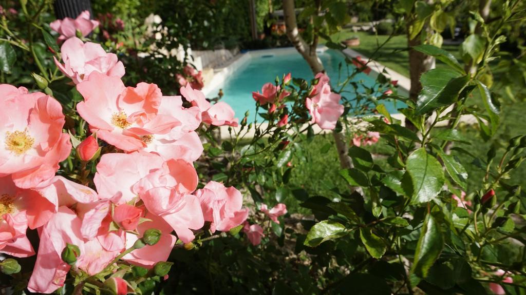 Mary'S Dream Bed & Breakfast Manoppello ภายนอก รูปภาพ