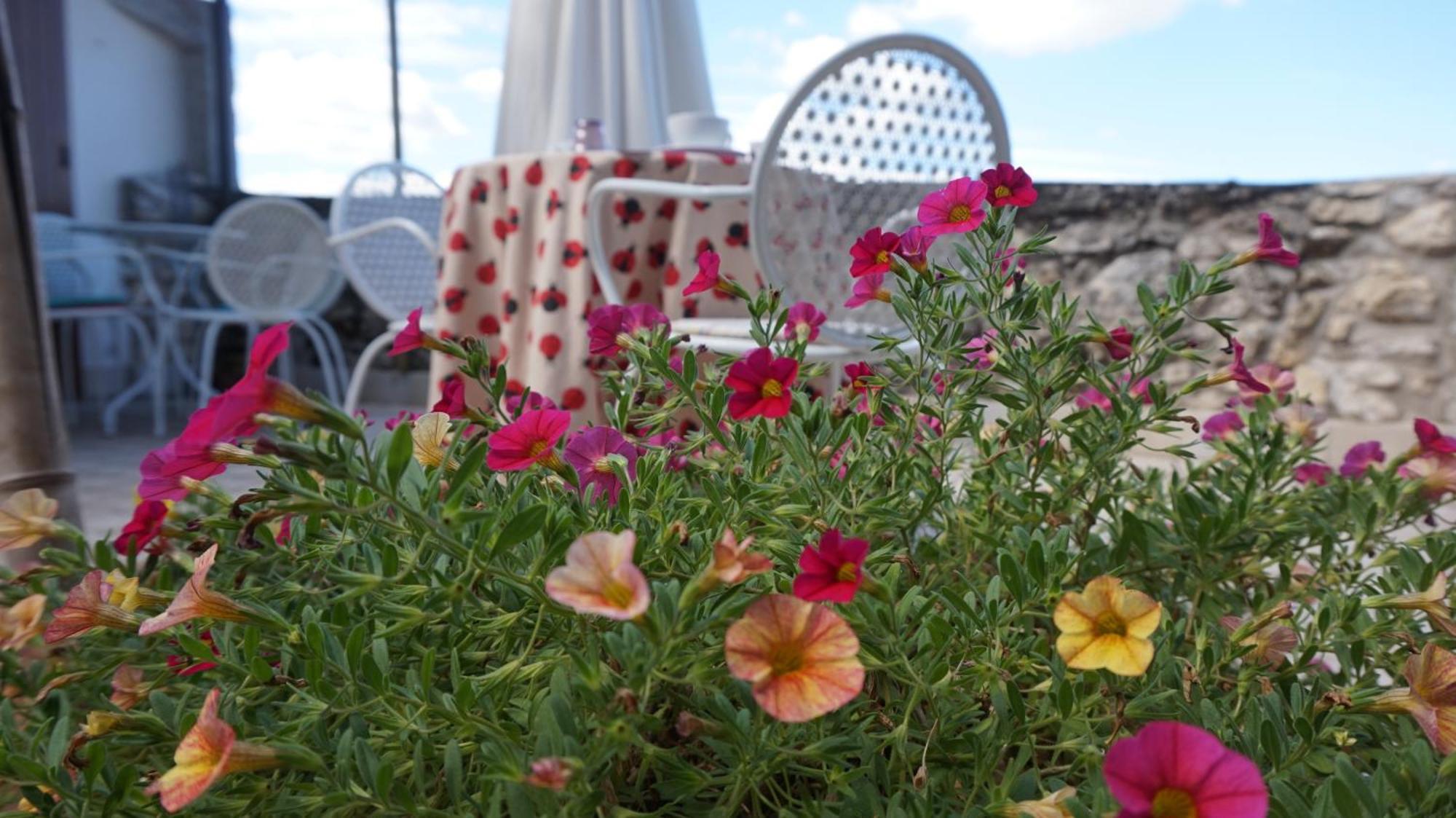 Mary'S Dream Bed & Breakfast Manoppello ภายนอก รูปภาพ