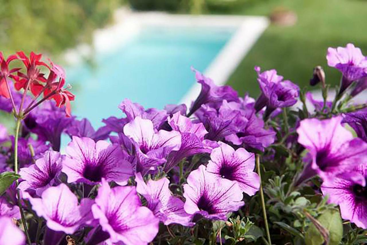 Mary'S Dream Bed & Breakfast Manoppello ภายนอก รูปภาพ